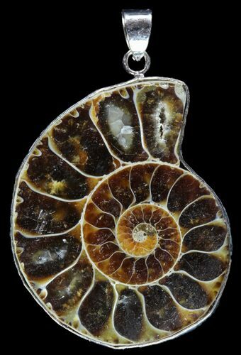 Fossil Ammonite Pendant - Million Years Old #89839